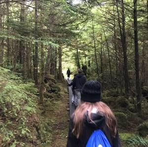 Meet your Posher, Katelyn